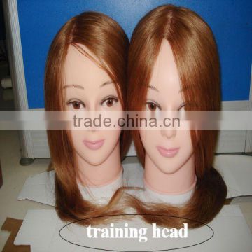 Silky Straight synthetic training head