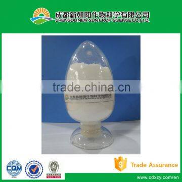 Sophora flavescens extract powder Matrine 90%, 98%