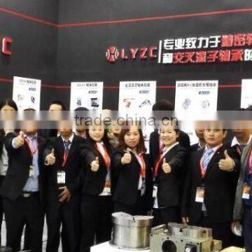 High Quanlity YRT460 Turntable Bearings/ Rotary Table Bearing /CNCmachine Bearing photo-4