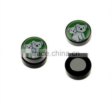 Magnetic Koala Bear Cute Cuddly Fake Stud Magnetic Ear Studs