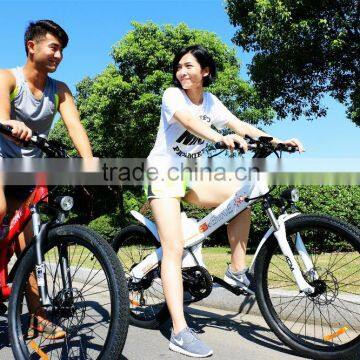 Haoling Seagull - Electric Bike Motor Mid Drive, Electric Motor Bike photo-3