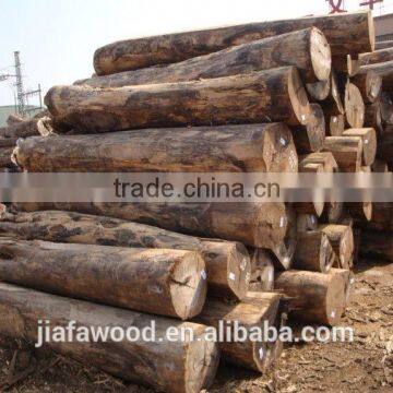 White Birch Logs, Baltic Birch Logs, Latvia Birch Logs Quality Choice