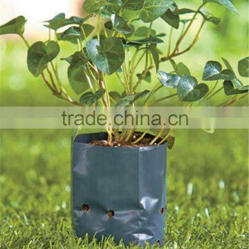 Competitive price UV resistant LDPE plastic nursery plant bags