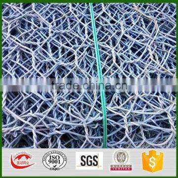 Thailand Hexagonal woven gabion prix