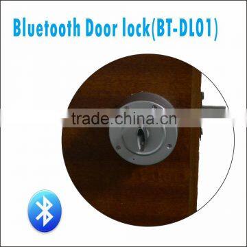Hot Sales Smart Electric Electric Magnetic Door Lock Outdoor