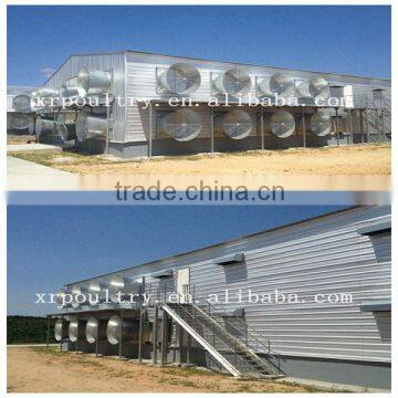 Hot-dip galvanized steel structure poultry house with full equipments