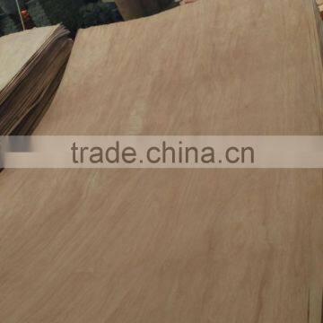 0.30mm natural BUR wood veneer 4x8