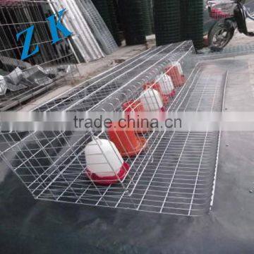 Hot Sale metal cage , Single Cage , Animals Cage .Automatic water