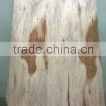 Eucalyptus Core Veneer A Grade Core Veneer 1.6mm - 2.4mm, 100% Grade a photo-3