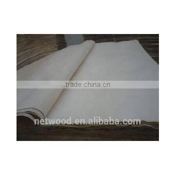 4*8 Rotaryt Cut Natural Birch Veneer With Real Factory in India Market