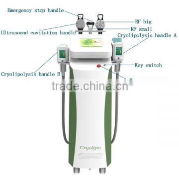 50 / 60Hz Hot Selling Multi-funtional Big Stainless Steel Treatment Head Ultrasonic Cryolipolysis Slimming Machine Zeltiq photo-3