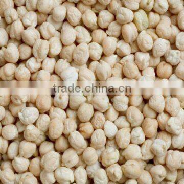 Indian Chickpeas