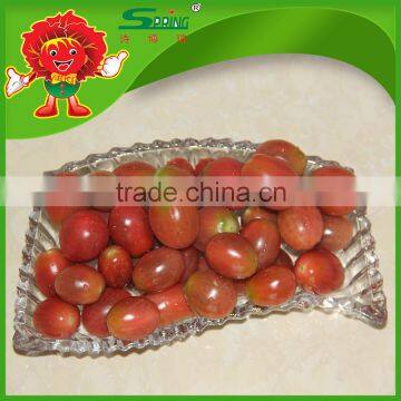 export fresh sweet cherry Tomato