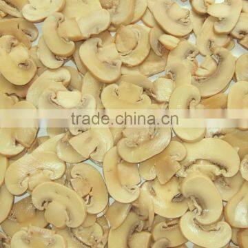 Good quality Canned mushroom pieces