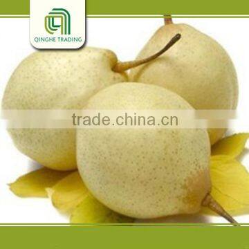 Wholesale China fresh Ya pears