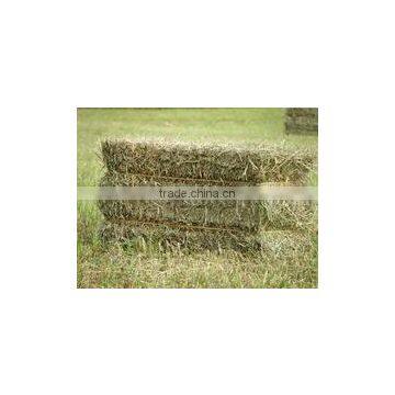 Grass hay , Rhode hay, hay for animal , dry hay bale , Rhode grass hay bale, cattle feed hay