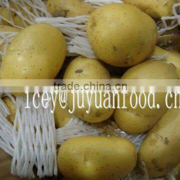 Juyuan Fresh Potato of high quality