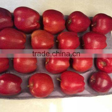 2016 New crop New season Huaniu apple Fresh apple China Gansu