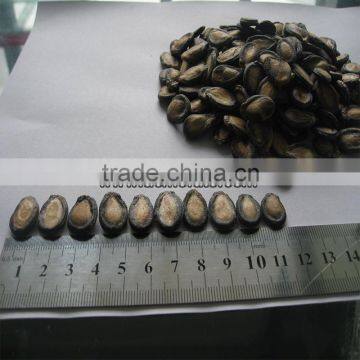 Best Selling Products Fresh Seed Black Watermelon Seed Bulk Packaging