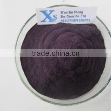 GMP Natural High Quality Blackberry Powder/Blackberry Juice Powder