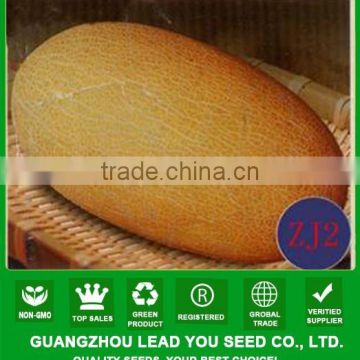 NSM03 Hagua Quality sweet hani melon seeds for growing