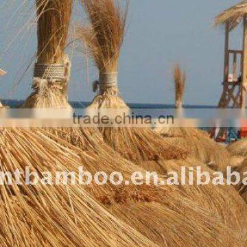 Thatch grass panel