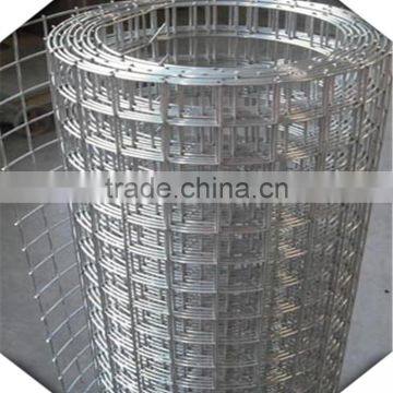 1*30m hot sale 1/4 inch galvanized welded wire mesh for sale