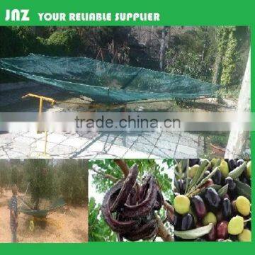 fruit net