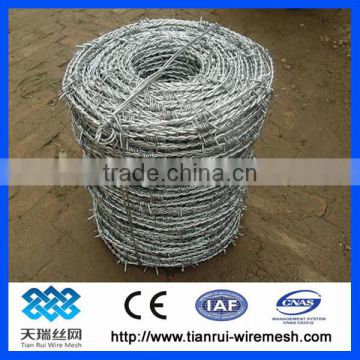 reverse twist/normal twis galvanized barbed wire