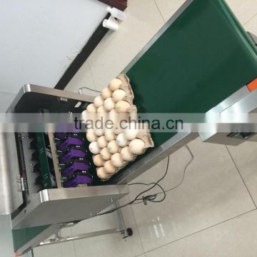 solvent inkjet printing machine/egg printer