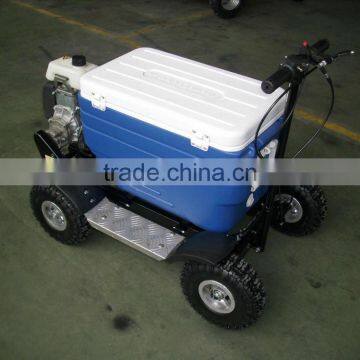 Popular Gas Cooler Scooter 43CC SX-G110 photo-4