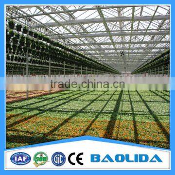 Tunnel Greenhouse for Agriculture photo-6