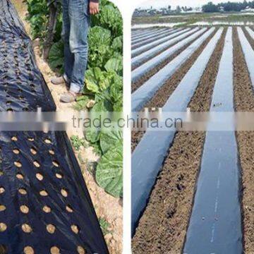 agriculture usage perfoared mulch film with holes