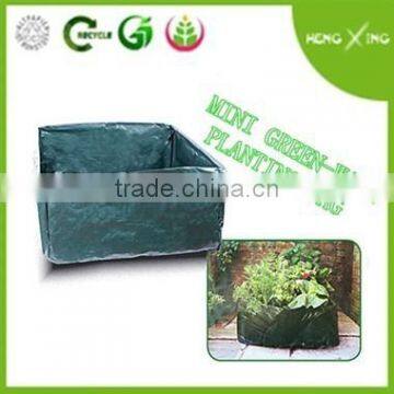 PE Planting Bag photo-3