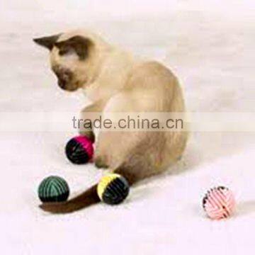 EVA Injection Foam Dog Ball photo-2