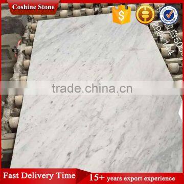 Delicate Texture Polished White Grey Carara Marble Tiles photo-4