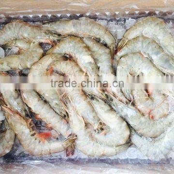 Frozen White Shrimp Vannamei Shrimp Hoso photo-5