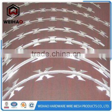 Alibaba .com ! hot selling in Brazil razor barbed wire used in pasture