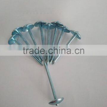 Blue Galvanized Roofing Nails to Indonesia photo-3