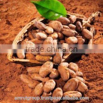 Alkalized Cocoa Powder photo-6