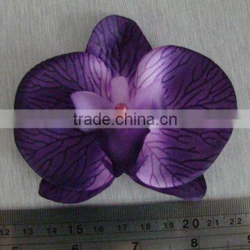 orchid flower