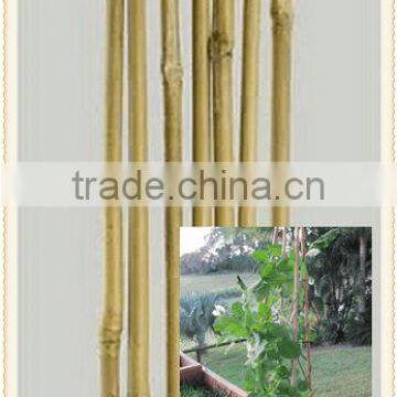Dyed Beautiful Colors Nature Bamboo Flower Sticks,bamboo Garden Sticks for Agriculture /decoration/garden photo-2
