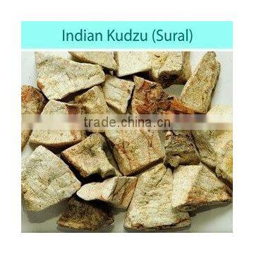 Pueraria Tuberosa photo-2