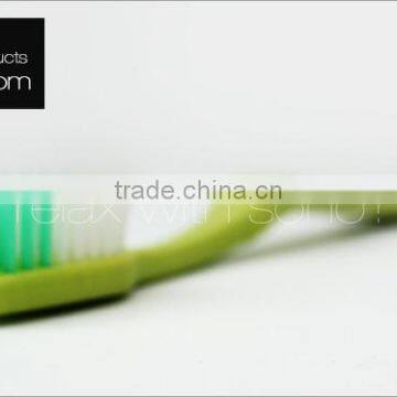 Plastic pp tpr rubber handle brand logo toothbrush with low price