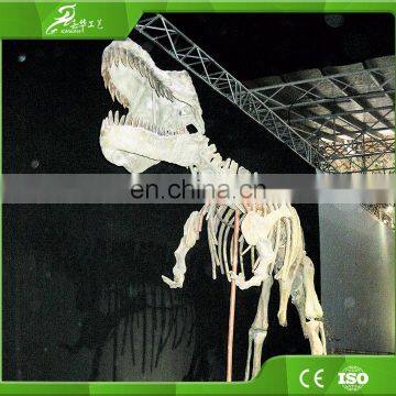 KAWAH High Quality Exvacation Replica Dig Life Size 3d Education Dinosaur Fossil For Sale photo-6