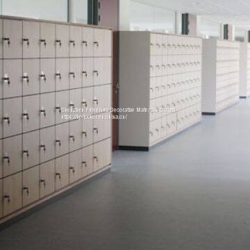 Durable and strong HPL Solid Color Phenolic Locker