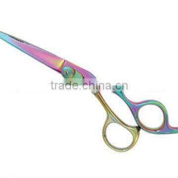 profession hair scissor