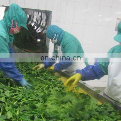 Sinocharm A Grade IQF Chopped Spinach Frozen Spinach Fresh Green photo-4