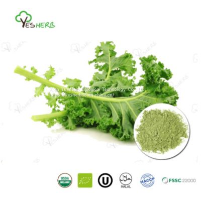 Kale Powder