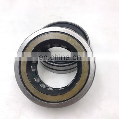 Washing Machine NTN NSK KOYO brand cylindrical roller bearing NJ2317L NJ2317EM NJ2317/C9